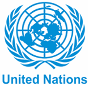 Organisation des Nations Unies